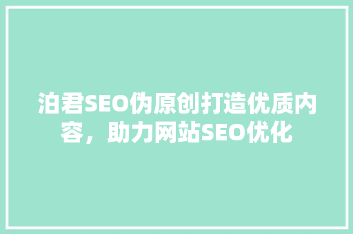 泊君SEO伪原创打造优质内容，助力网站SEO优化