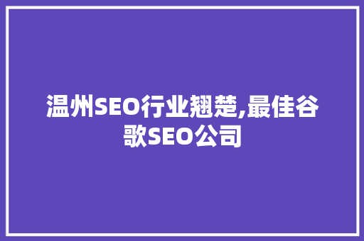 温州SEO行业翘楚,最佳谷歌SEO公司