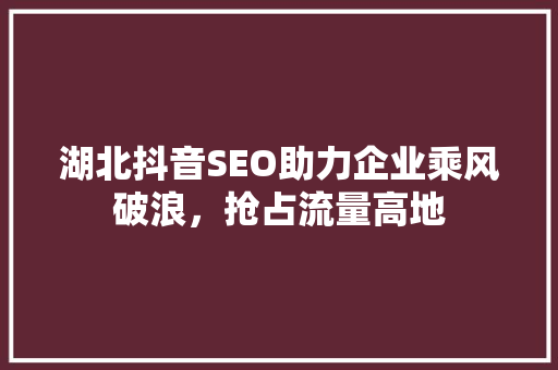 湖北抖音SEO助力企业乘风破浪，抢占流量高地