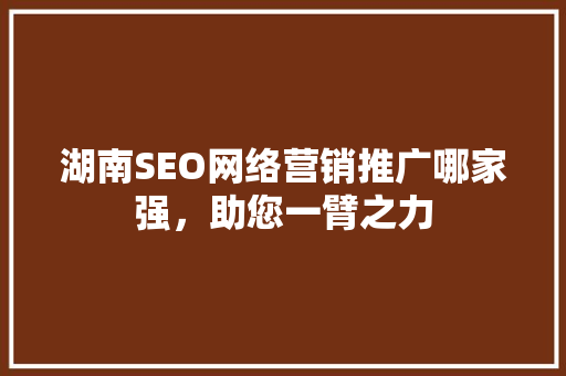 湖南SEO网络营销推广哪家强，助您一臂之力