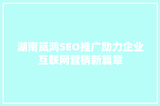 湖南岚鸿SEO推广助力企业互联网营销新篇章