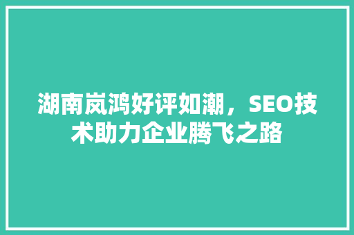 湖南岚鸿好评如潮，SEO技术助力企业腾飞之路