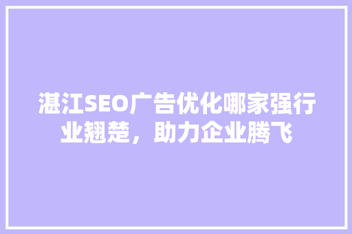 湛江SEO广告优化哪家强行业翘楚，助力企业腾飞