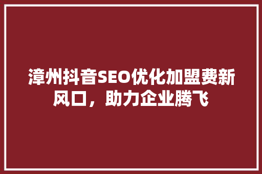 漳州抖音SEO优化加盟费新风口，助力企业腾飞