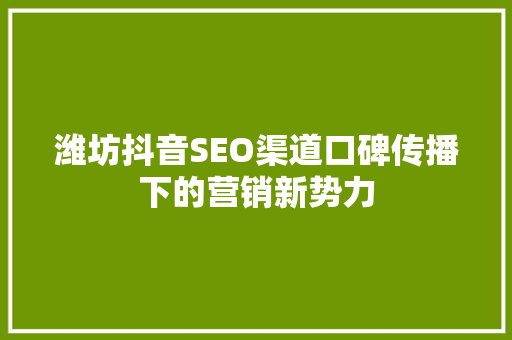 潍坊抖音SEO渠道口碑传播下的营销新势力