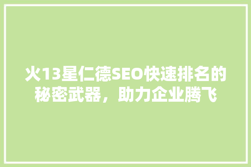 火13星仁德SEO快速排名的秘密武器，助力企业腾飞