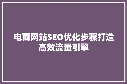 电商网站SEO优化步骤打造高效流量引擎