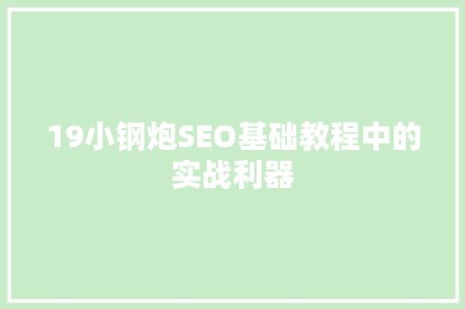 19小钢炮SEO基础教程中的实战利器