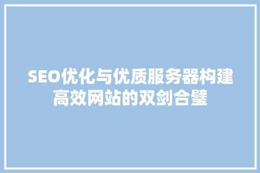 SEO优化与优质服务器构建高效网站的双剑合璧