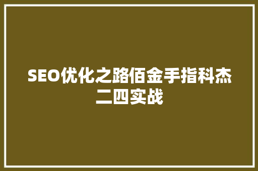 SEO优化之路佰金手指科杰二四实战