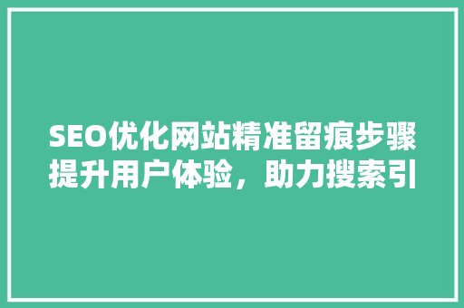 SEO优化网站精准留痕步骤提升用户体验，助力搜索引擎排名