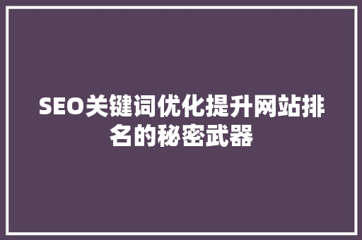 SEO关键词优化提升网站排名的秘密武器