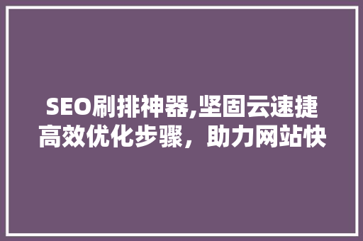 SEO刷排神器,坚固云速捷高效优化步骤，助力网站快速提升排名