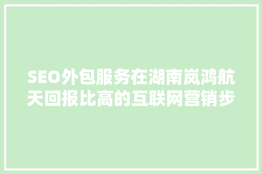 SEO外包服务在湖南岚鸿航天回报比高的互联网营销步骤