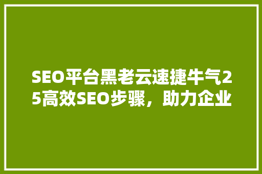 SEO平台黑老云速捷牛气25高效SEO步骤，助力企业腾飞