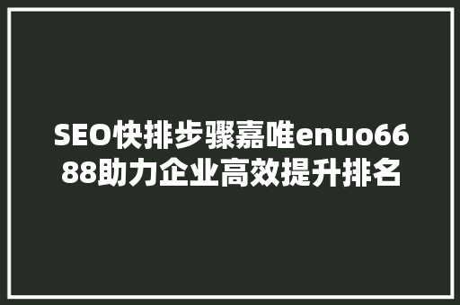 SEO快排步骤嘉唯enuo6688助力企业高效提升排名
