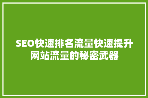 SEO快速排名流量快速提升网站流量的秘密武器