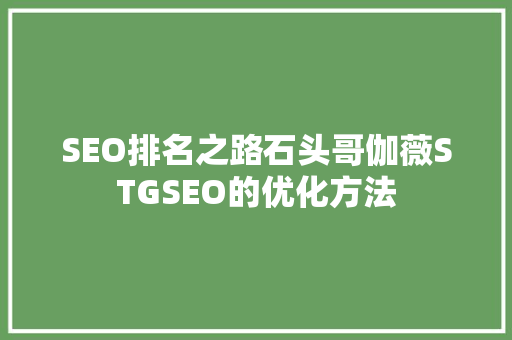 SEO排名之路石头哥伽薇STGSEO的优化方法
