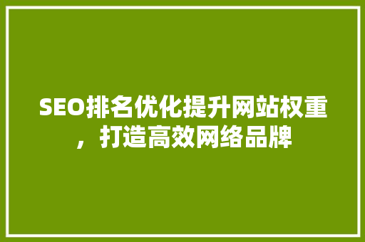 SEO排名优化提升网站权重，打造高效网络品牌