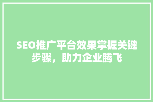 SEO推广平台效果掌握关键步骤，助力企业腾飞