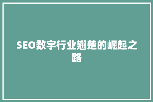 SEO数字行业翘楚的崛起之路