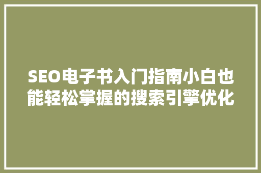 SEO电子书入门指南小白也能轻松掌握的搜索引擎优化方法