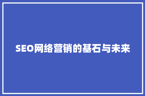 SEO网络营销的基石与未来
