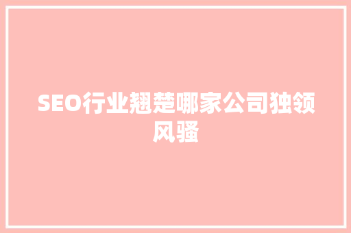 SEO行业翘楚哪家公司独领风骚