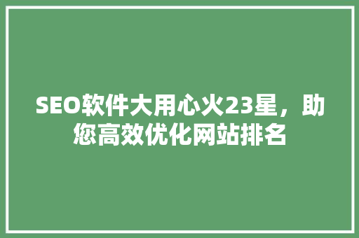 SEO软件大用心火23星，助您高效优化网站排名