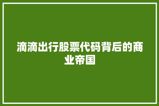 滴滴出行股票代码背后的商业帝国