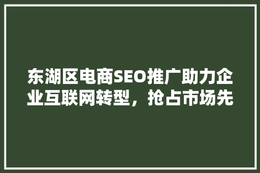 东湖区电商SEO推广助力企业互联网转型，抢占市场先机