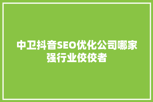 中卫抖音SEO优化公司哪家强行业佼佼者
