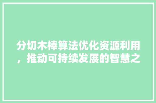 分切木棒算法优化资源利用，推动可持续发展的智慧之路