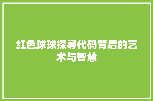 红色球球探寻代码背后的艺术与智慧