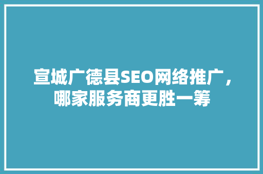 宣城广德县SEO网络推广，哪家服务商更胜一筹