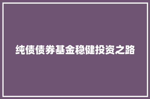 纯债债券基金稳健投资之路