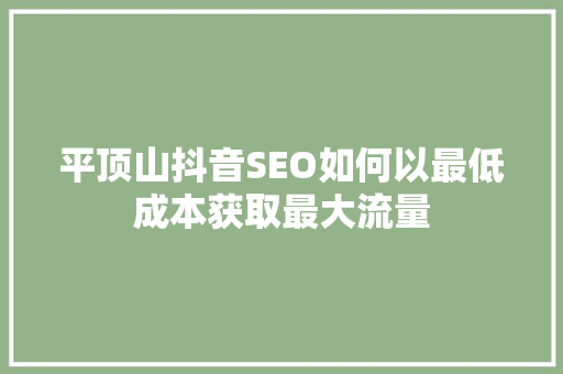 平顶山抖音SEO如何以最低成本获取最大流量