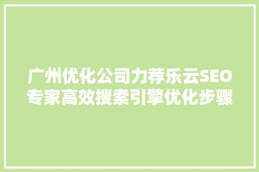 广州优化公司力荐乐云SEO专家高效搜索引擎优化步骤