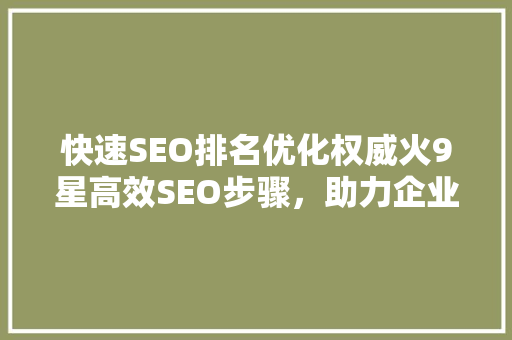 快速SEO排名优化权威火9星高效SEO步骤，助力企业腾飞