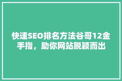 快速SEO排名方法谷哥12金手指，助你网站脱颖而出