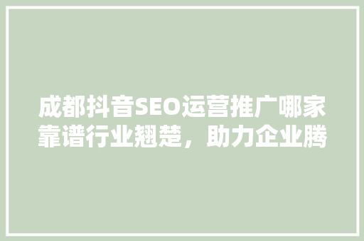 成都抖音SEO运营推广哪家靠谱行业翘楚，助力企业腾飞