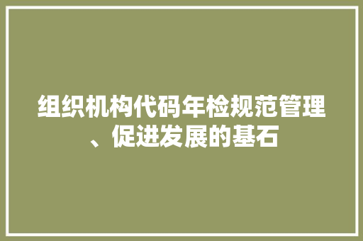 组织机构代码年检规范管理、促进发展的基石