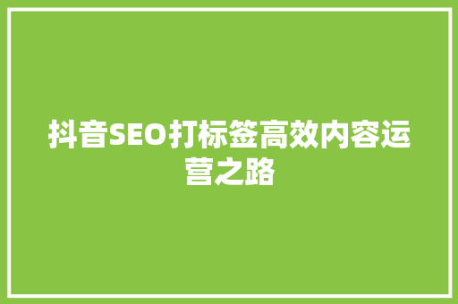 抖音SEO打标签高效内容运营之路