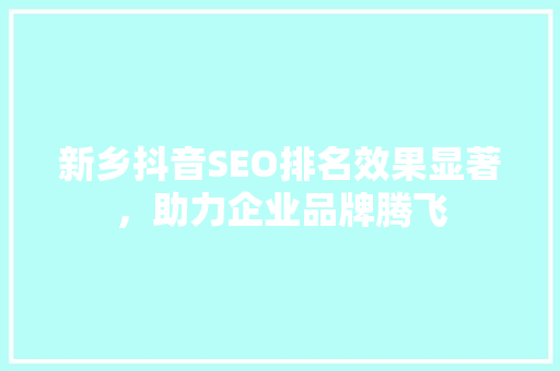 新乡抖音SEO排名效果显著，助力企业品牌腾飞