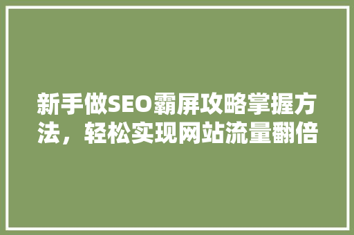 新手做SEO霸屏攻略掌握方法，轻松实现网站流量翻倍