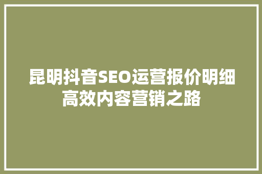 昆明抖音SEO运营报价明细高效内容营销之路