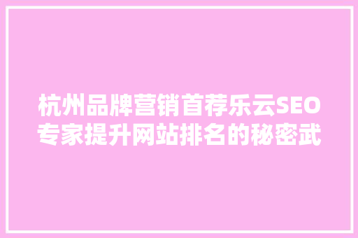 杭州品牌营销首荐乐云SEO专家提升网站排名的秘密武器
