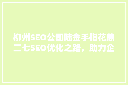 柳州SEO公司陆金手指花总二七SEO优化之路，助力企业腾飞