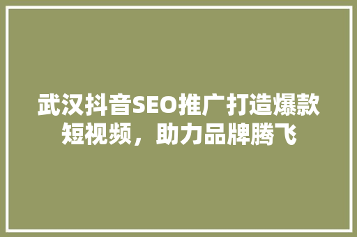 武汉抖音SEO推广打造爆款短视频，助力品牌腾飞
