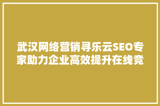 武汉网络营销寻乐云SEO专家助力企业高效提升在线竞争力
